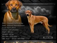 Farao Keoni Wandellmere