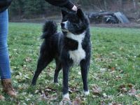 Jinsei Go Shiroiarashi