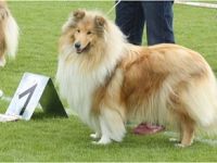 von der Deditzhöhe