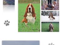 Anthony ze Srdce Brd