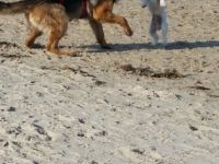 Earl von Haus Bischof