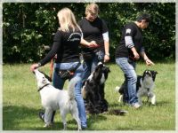 Treemountains Hundeschule Nottuln Dülmen Coesfeld