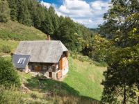 Fewo Titisee in Alleinlage mit Hund