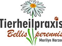 Tierheilpraxis Bellis perennis