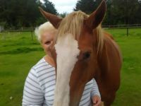 Mobile Tierheilpraxis