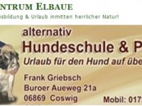 Hundezentrum Elbaue