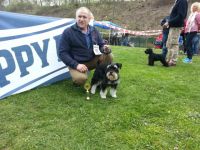 Attila vom Schlosstheater