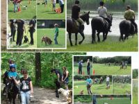 IG Familienhunde Halle Saale