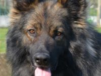 Ur Simply The Best From The Wolfpack