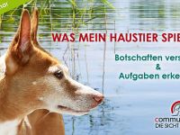 Was mein Haustier spiegelt: Botschaften verstehen & Aufgaben erkennen 06.06.25