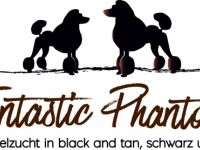 Fantastic Phantoms