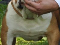 Wolfgang von der Teufelshöhle