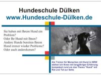Hundeschule Dülken