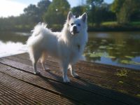 von den Eißeler Dorfspitzen