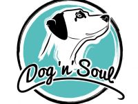 Dog'n'Soul Hundetraining & Verhaltenstherapie