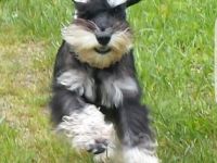 Xido-Xana von Marten