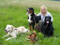 Mobile Tierheilpraxis Birgit  Guth