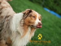 Fascination ID Marley the Conqueror DNA-VP