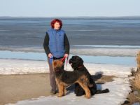 Aufnahme und Neuvermittlung von Hunden, die ihr Zuhause verlassen müssen