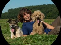 Hund im Fokus Niederrhein