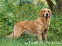 vom Leipzig Seenland