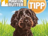 Urlaub mit Hund / Training mit Hund