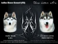 AnRus House