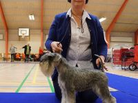 Carlson vom Rombergpark