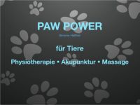 Paw Power - Simone Haffner - Tierphysiotherapie und Tierakupunktur in Berlin