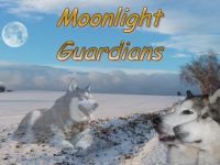 Moonlight Guardians