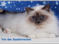 Von den Saalebirmchen