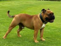 Pickwick Unkas aka Paul