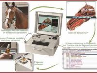 MoBiRe mobile Bioresonanz und Tierpsychologie