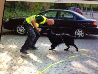 Die Hundeschule mit AHA Effekt