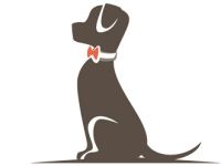 Teamwork Hundetraining Wiessner