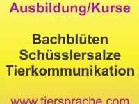 Tiersprache -  Eva Müller (Tierkommunikation, Tierheilpraktik & Seminare)