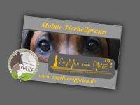 Mobile Tierheilpraxis Engl für vier Pfoten - Kerstin Engl