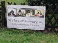abso-song-kay