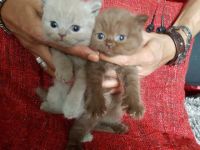 Vom Teddyschlösschen