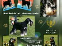 König Ludwig von der Fuhrmannswache