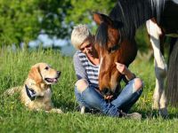 Hundetrainer on tour