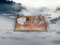 NFO´s from crazy Gismos