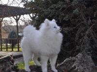 Chandler, Chester, Crystal