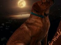 von Simones treuen Seelen