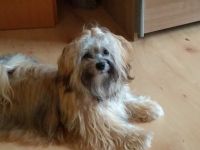 Coffee vom Sternenlicht