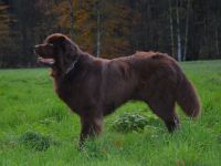 Urs Bär vom Seebachtal