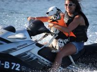 Hundeschule Shyva