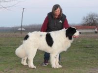 Rainbow vom Libris Hort