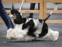 JUMP'N SMILE FIRST ONLY ONE