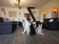 Villa Romantika ferienhaus  für 2 - 12 Personen